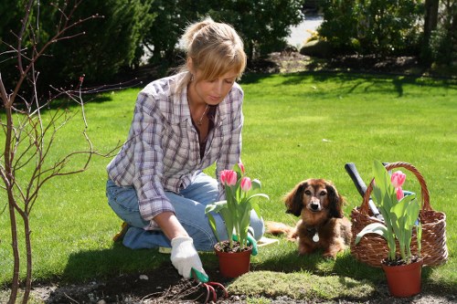 Worker wearing PPE operating lawn care equipment