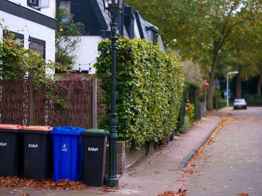 A ground-level view of a vacant outdoor area featuring a pile of discarded household and garden waste, including various cardboard boxes, plastic containers, a small plastic lawn chair, a metal storag