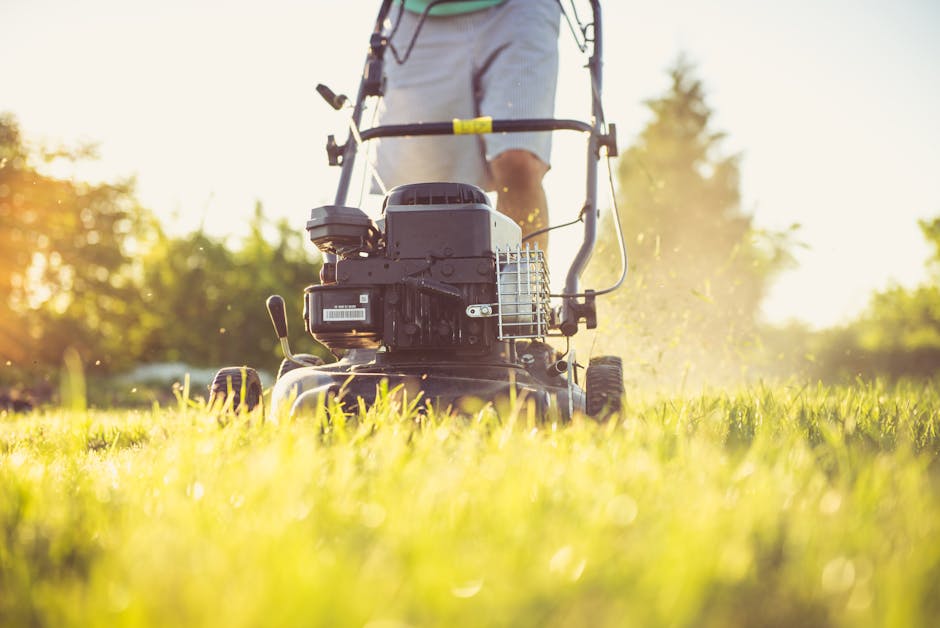 A person operating a petrol-powered lawnmower on a small, well-maintained garden lawn with lush, green grass during bright sunlight, surrounded by garden beds with leafy plants and neatly trimmed hedg