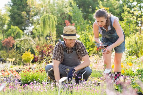 Healthy green grass maintained by Seven Sisters lawn care