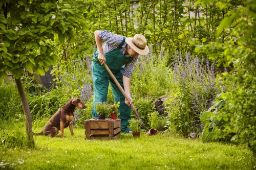 Professional lawn mower working in Seven Sisters garden